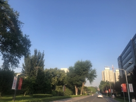 15955488014474086.jpg
