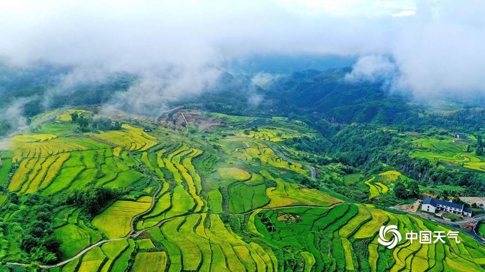 航拍浙江仙居杨丰山梯田 风光美如画