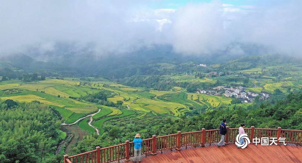 航拍浙江仙居杨丰山梯田 风光美如画