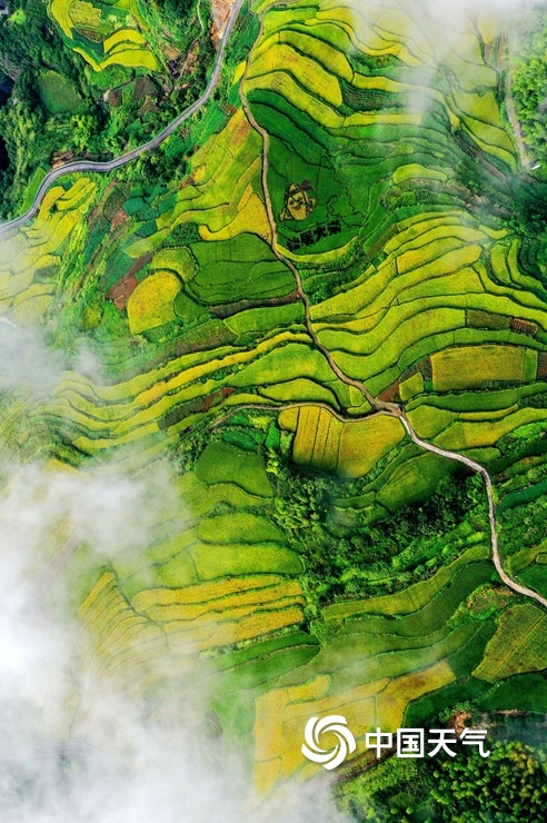 航拍浙江仙居杨丰山梯田 风光美如画