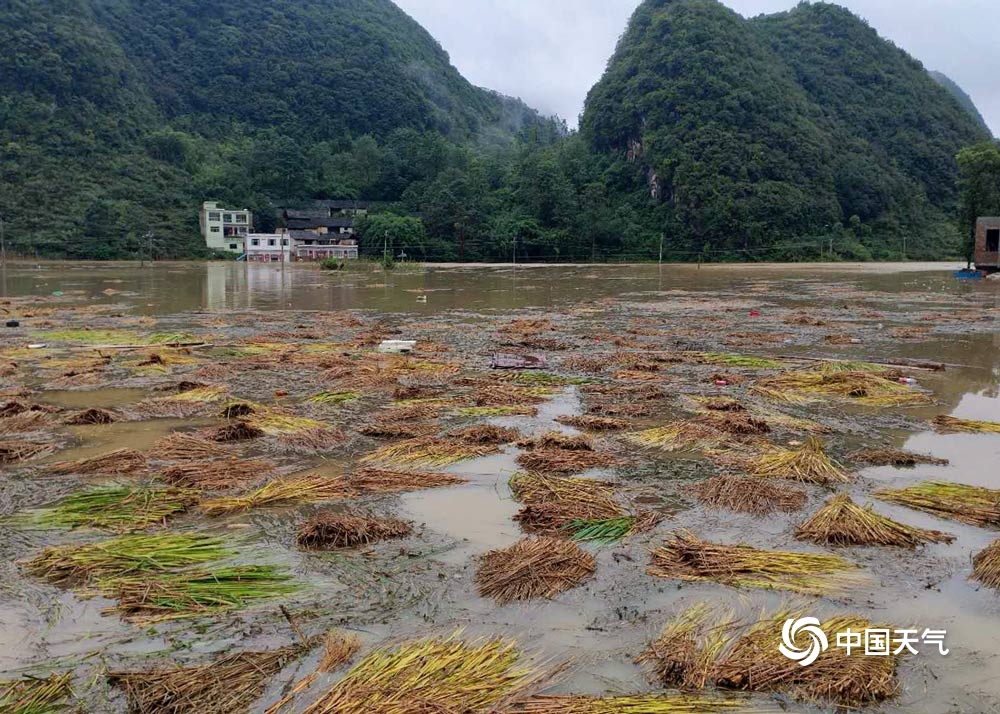 贵州惠水降暴雨致积水严重 民众出行受阻